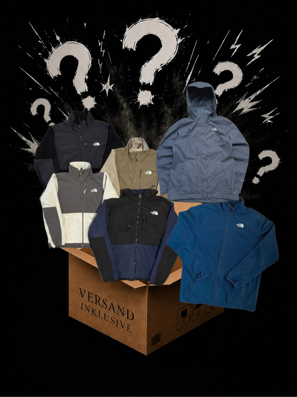 Vintage-North Face Fleece Bundel (4-8 Stück)